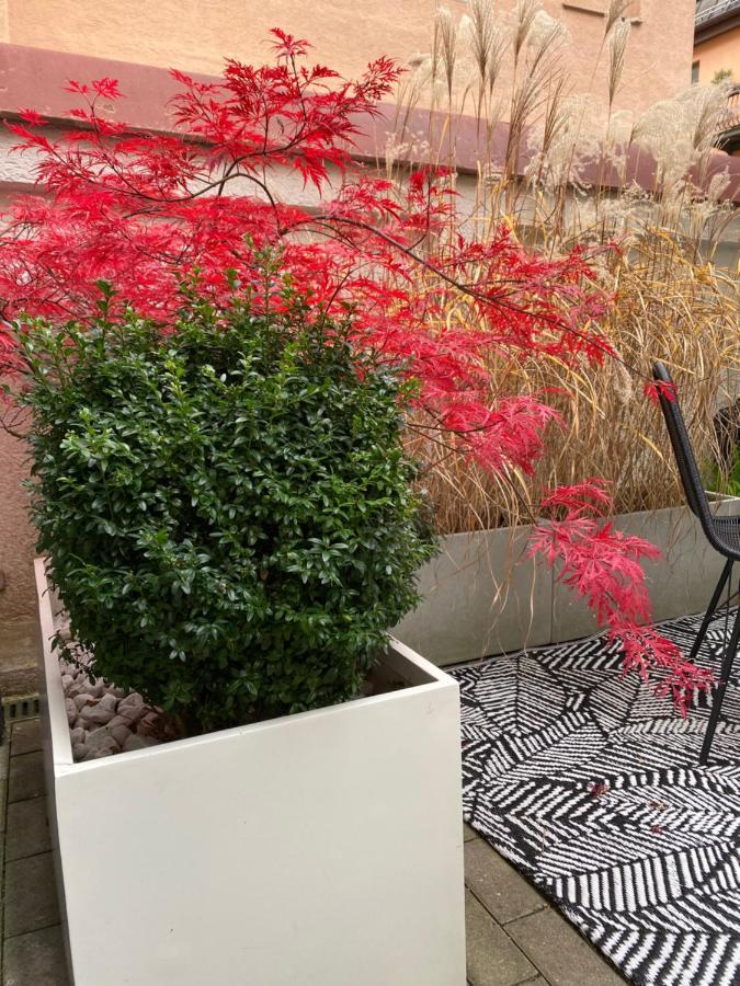 Como Design-Apartment Close To Isar River Area - Centrally Located 뮌헨 외부 사진